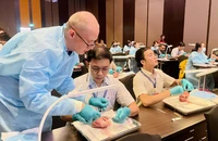 Lần đầu huấn luyện can thiệp tim mạch trên tim heo tại Việt Nam