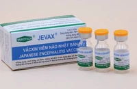 Từ ca viêm não Nhật Bản dù đã tiêm 4 mũi vaccine, chuyên gia khuyến cáo gì? 