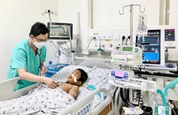 TP.HCM: Dịch bệnh sốt xuất huyết và tay chân miệng gia tăng