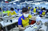 Những ngành nghề có nhu cầu tuyển dụng cao sau Tết