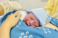 Tỉ lệ vô sinh, hiếm muộn tại Việt Nam tăng nhanh chóng