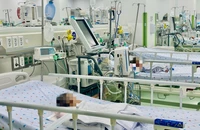Tay chân miệng, sốt xuất huyết tăng, Bộ Y tế cảnh báo dịch chồng dịch