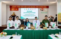 Bệnh viện Nhi đồng 2 triển khai mô hình bảo vệ trẻ bị bạo hành 