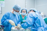 Cuộc chạy đua trong những ca ghép tạng cấp cứu tối khẩn tại Bệnh viện Chợ Rẫy