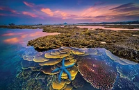 Ngành du lịch phát động cuộc thi ảnh Amazing Vietnam 