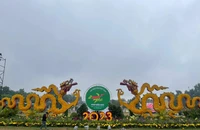 Ngày thơ Việt Nam sẽ khai mạc như sự nở bừng của đóa hoa thơ