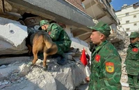 Lực lượng cứu hộ của Việt Nam tại Thổ Nhĩ Kỳ tìm thấy 2 vị trí có dấu hiệu sự sống