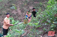 Bộ Quốc phòng đồng ý thu hồi 96,8 ha đất rừng để giao cho các hộ dân 