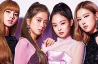 VCPMC đề nghị thu hồi giấy phép biểu diễn của nhóm Blackpink