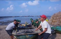 Nghệ An một tàu bị chìm khi di chuyển tránh bão số 3 