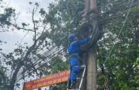 Nhà mạng đang nỗ lực phục hồi sớm nhất liên lạc cho người dân sau bão số 3