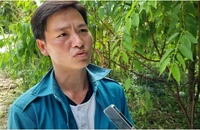 Trưởng thôn Kho Vàng nhận giải 'Thanh niên sống đẹp' năm 2024