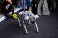 Người dân thích thú xem robot chó trình diễn tại Triển lãm Quốc phòng quốc tế Việt Nam