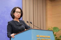 Việt Nam nói về việc Trung Quốc khai trương trung tâm thương mại tại Hoàng Sa