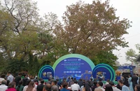Nhiều tour du lịch giảm giá sâu tại Hội chợ VITM 2026
