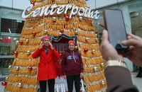 Hà Nội: Cận cảnh cây thông noel được làm từ 8.000 trái bắp 
