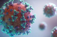 Thuốc kháng virus có hiệu quả với biến chủng phụ XBB 