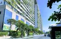 Bản vẽ một công trình xanh trong lòng đô thị. Ảnh: M.LONG