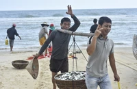 Ngư dân trúng lộc biển, thu tiền triệu trong chuyến ra khơi đầu xuân
