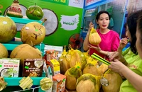 Người dân, du khách đội mưa đến dự Festival 100 năm Dừa sáp Trà Vinh