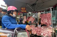 Giá heo hơi giảm mạnh vì bệnh dịch