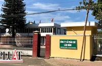 Phạt Công ty Chè Lâm Đồng 320 triệu đồng