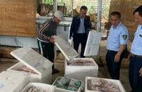  Lâm Đồng: Quản lý Thị trường thu giữ hơn 2 tạ thực phẩm đông lạnh trôi nổi