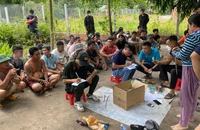 Triệt phá tụ điểm đánh bạc vùng biên, thu giữ hàng trăm triệu đồng