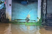 Mưa lớn kéo dài, Quốc lộ 20 đầu địa phận Lâm Đồng ngập sâu