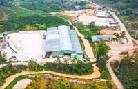 Vi phạm 11 lỗi, công ty Tuấn Thiện bị phạt gần 700 triệu