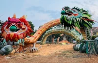 Vụ lắp linh vật rồng bị phạt 90 triệu: Địa phương và doanh nghiệp nói gì?