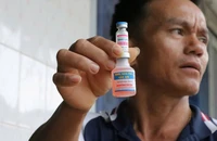 Cục Thú y đến Lâm Đồng làm rõ nguyên nhân bò sữa chết sau khi tiêm vaccine