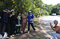 Công an điều tra vụ lừa đảo đặt phòng Festival Hoa Đà Lạt