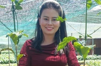 Nông dân tỉnh Lâm Đồng ồ ạt tái vườn, giá cây cà phê giống tăng cao