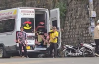 Lời khai của người bẻ cành mai anh đào tại Đà Lạt