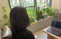 học may qua mạng 
