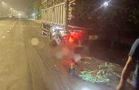 Tông vào xe tải, 2 mẹ con tử vong 