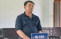 Mạo danh chủ hơn 4,6 ha rừng keo đem bán lấy tiền trả nợ