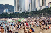 Nha Trang chuẩn bị cho mùa hè 'bùng nổ' 