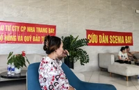 Chủ đầu tư chung cư hạng sang ở Khánh Hòa bị phạt 500 triệu đồng