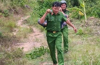 Cảnh sát vào rẫy khiêng 2 người hôn mê đi cấp cứu vì bị ong đốt gần 200 vết 