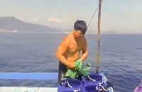 Truy tìm tàu vận tải Việt Thuận va chạm với tàu cá rồi bỏ chạy 