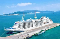 Nha Trang mất khách quốc tế vì hàng loạt tàu biển hủy chuyến