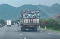 Công an tỉnh Khánh Hòa thông tin vụ 'vứt tài sản cưỡng chế ra bãi rác'