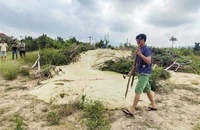 Cận cảnh vết nứt kéo dài, bùn phun trào ở Phú Yên