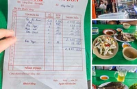 Chủ tịch Khánh Hòa yêu cầu xử lý nghiêm vụ bè nổi bán món cá bò hòm 3,5 triệu đồng/kg