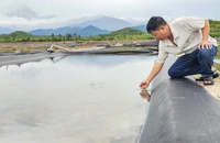Nhường đất cho khu công nghiệp, diêm dân chờ bồi thường chi phí đầu tư 