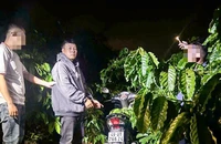 Nghi phạm cướp tài sản mang theo lồng chim khi lẩn trốn