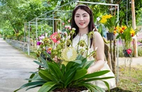 Nghệ nhân đến từ Lâm Đồng giật giải đặc biệt cuộc thi hoa lan