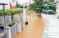 Dự báo mưa trên 300 mm, Khánh Hòa yêu cầu chủ các hồ chứa xả nước đón lũ